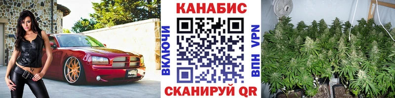 Купить наркоту Купино Бутират  Амфетамин  Гашиш  А ПВП  Мефедрон  Кокаин  Лсд 25  Конопля 