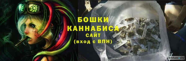 ешки Белокуриха