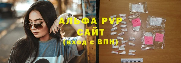 ешки Белокуриха