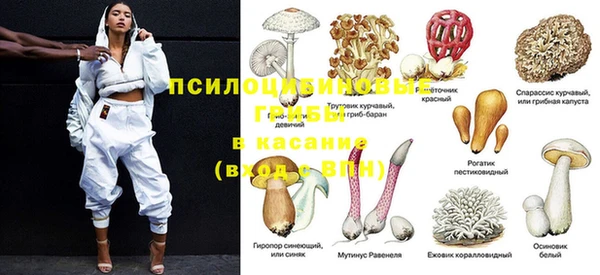 2c-b Балахна